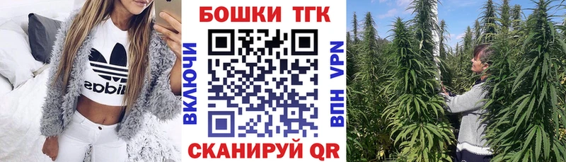 Каннабис конопля  Сураж 